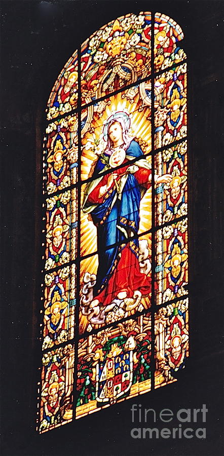 Stained Glass Window Photograph by Barbara Plattenburg