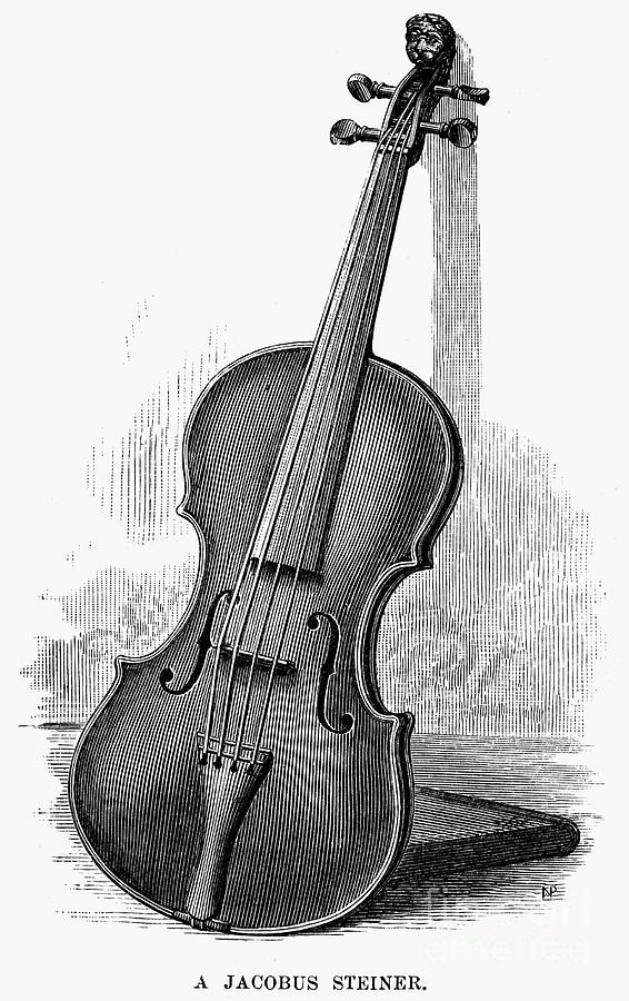Stainer Violin Photograph by Granger