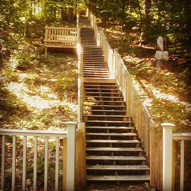 Woods Photograph - #staircase #stairs #150steps #tall by Kayla St Pierre