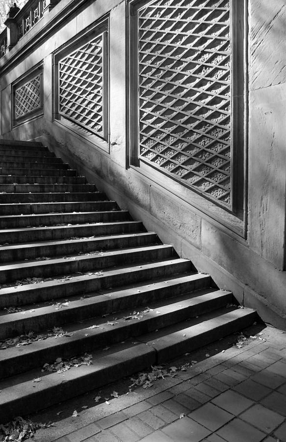 Central Park Photograph - STAIRWAY TO CENTRAL PARK in BLACK AND WHITE by Rob Hans