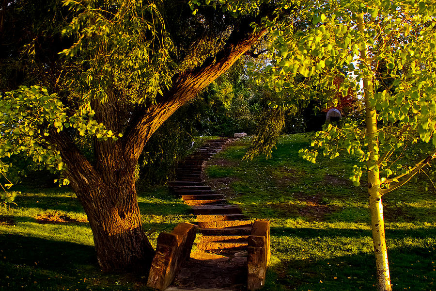 Fall Photograph - Stairway to Heaven by Joshua Dwyer