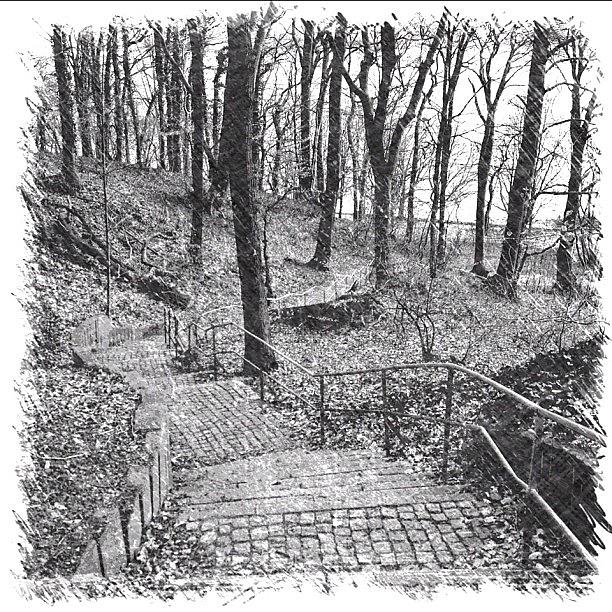 Nature Photograph - Stairway To The Elbe #elbe #hamburg by Shelley Walsh