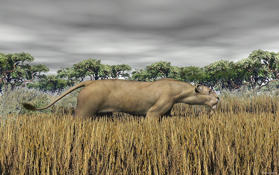 Wildlife Digital Art - Stalking Prey by Walter Colvin