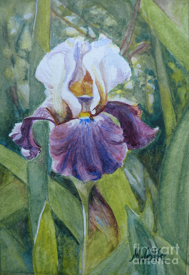 Stand Up Iris Painting by Margo Wolfe - Fine Art America