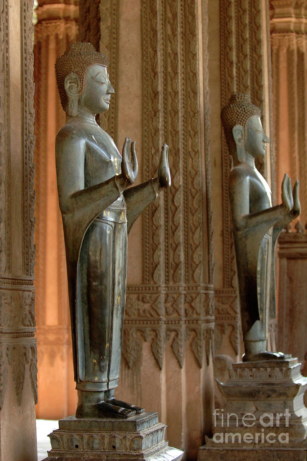 Standing Buddhas Photograph by Bob Christopher