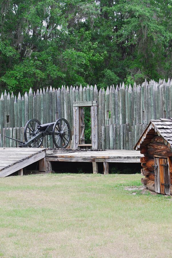 Standing Ready Photograph by Judy Hall-Folde - Fine Art America