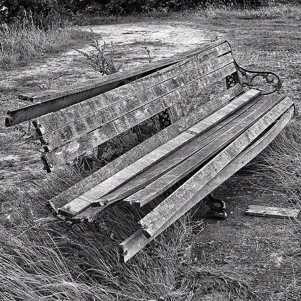 Love Photograph - Standing Room Only by Carl Milner Love Photograph - Standing Room Only by Carl Milner