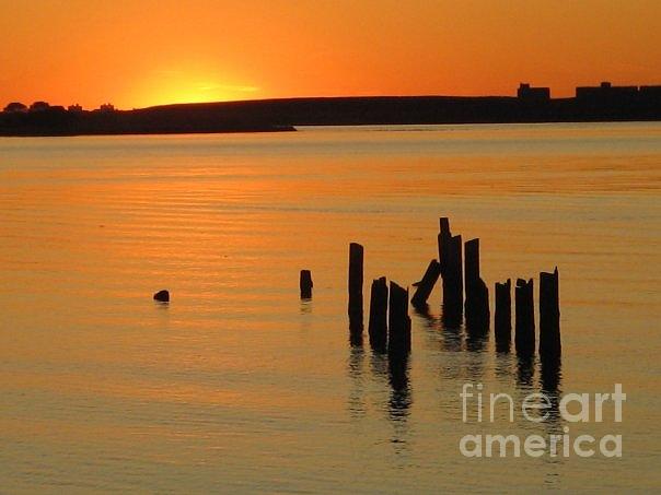 Sunset Photograph - Standing Still by Charmaine Lundy
