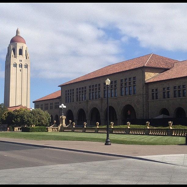 Stanford U #nofilter #fearthetree Photograph by Trey Jackson