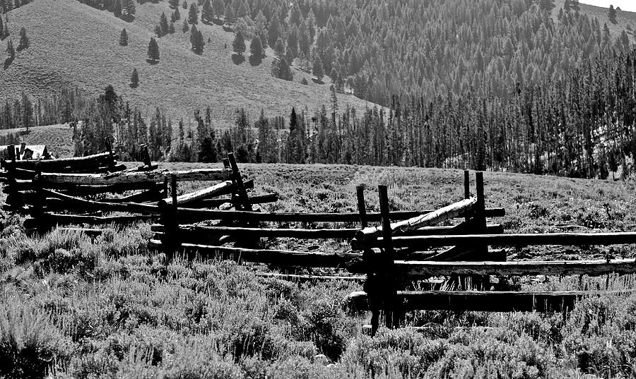 Stanleys Fences Photograph by Eric Tressler