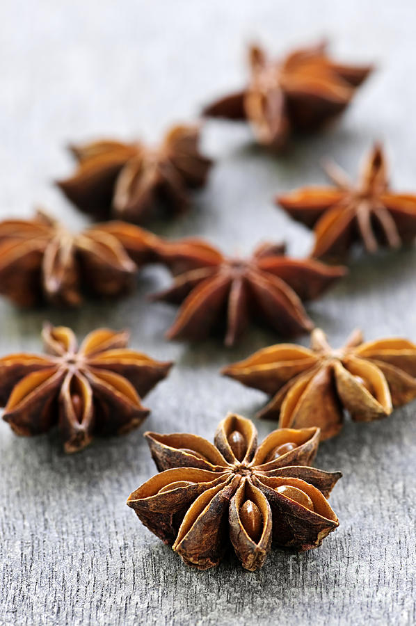 Spices 2 - Star anise Photograph by Elena Elisseeva