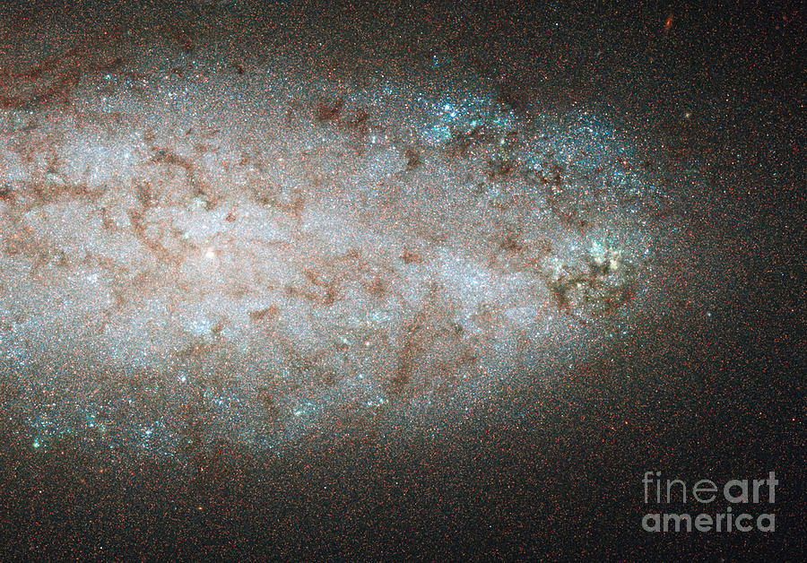 Space Photograph - Star-birth In Ngc 2976 Spiral Galaxy by NASA/Science Source