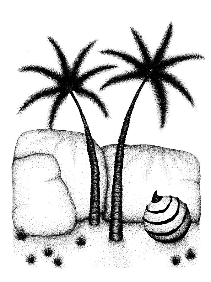 Nature Drawing - Star Palms by Jason Carroll