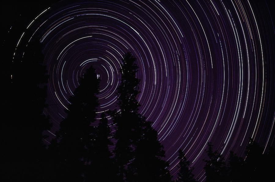 Star Streaks Above Silhouetted Trees Photograph by Michael Nichols