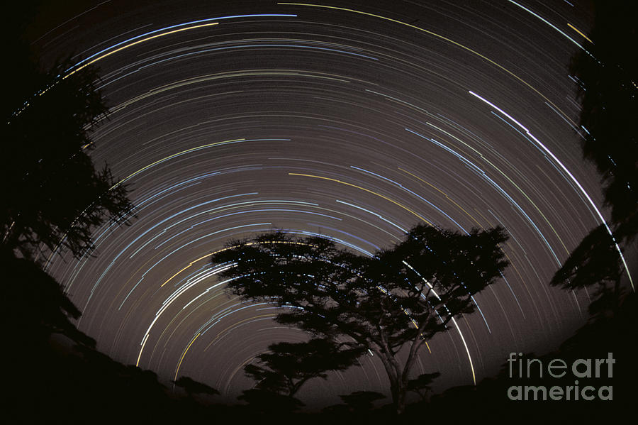 Star Trails Over The Southern Serengeti Photograph by Greg Dimijian