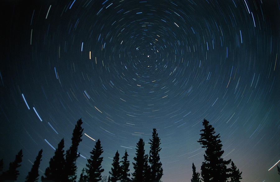 Star Trails, Sandilands Provincial Photograph by Mike Grandmailson ...