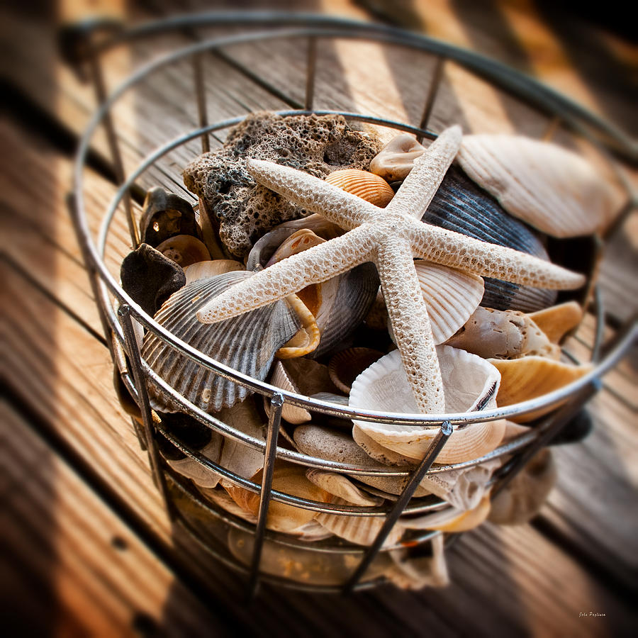 Starfish and shell basket Photograph by John Pagliuca