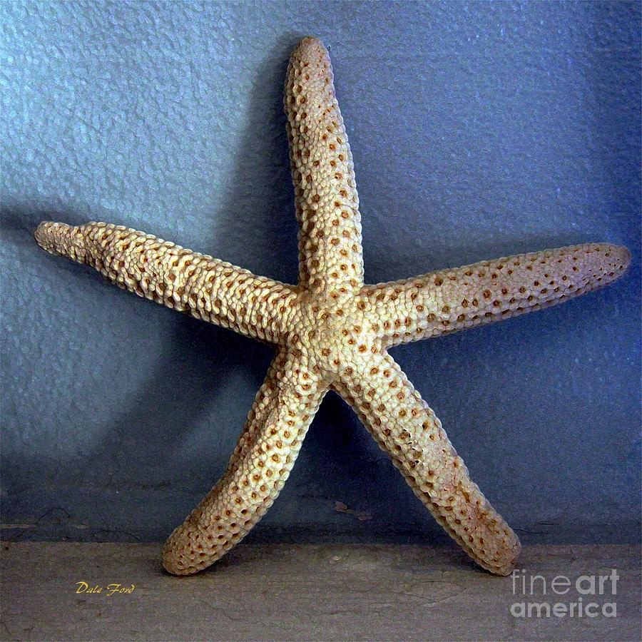 Starfish Digital Art by Dale   Ford
