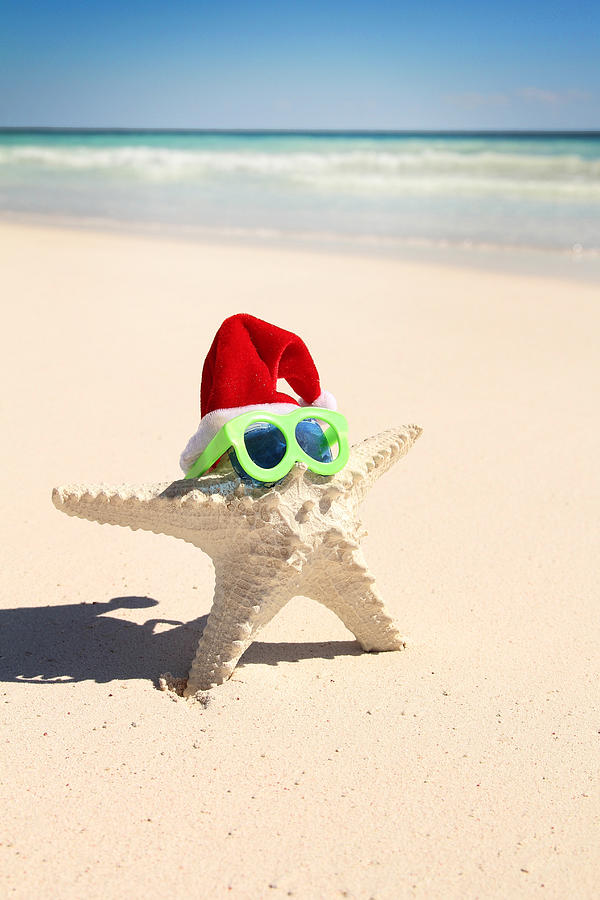 Starfish With Glasses And Hat Photograph By Isabel Poulin 