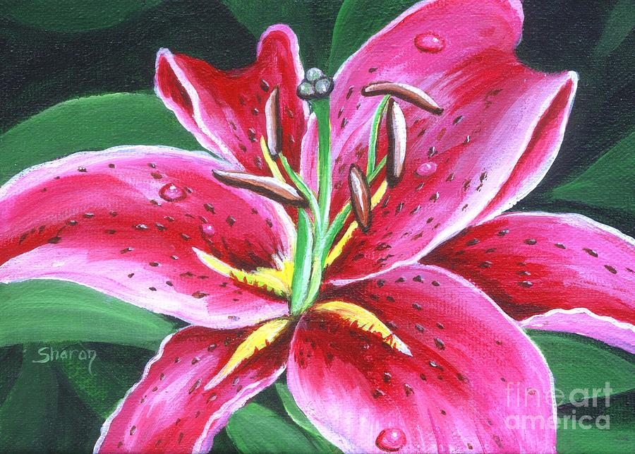 Stargazer lily Painting by Sharon Molinaro