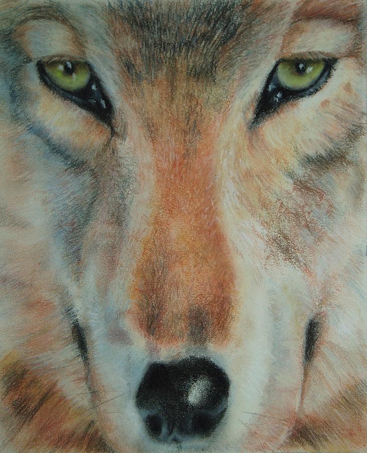 Staring Contest Pastel by Joanna Gates - Fine Art America