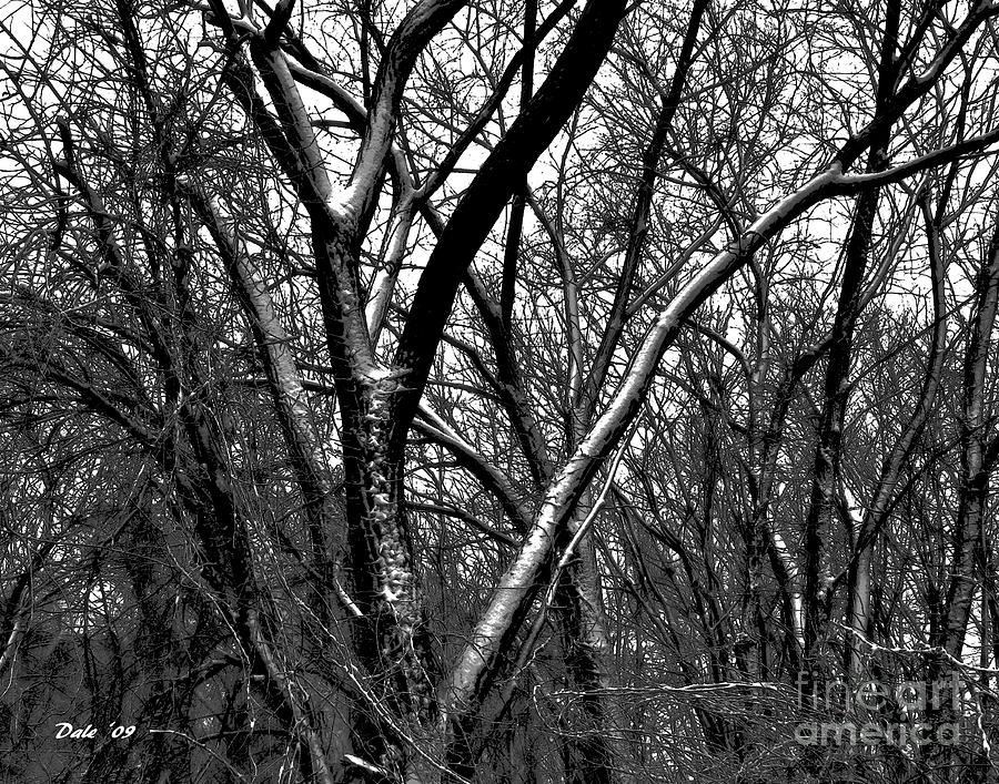 Tree Digital Art - Stark Winter by Dale   Ford