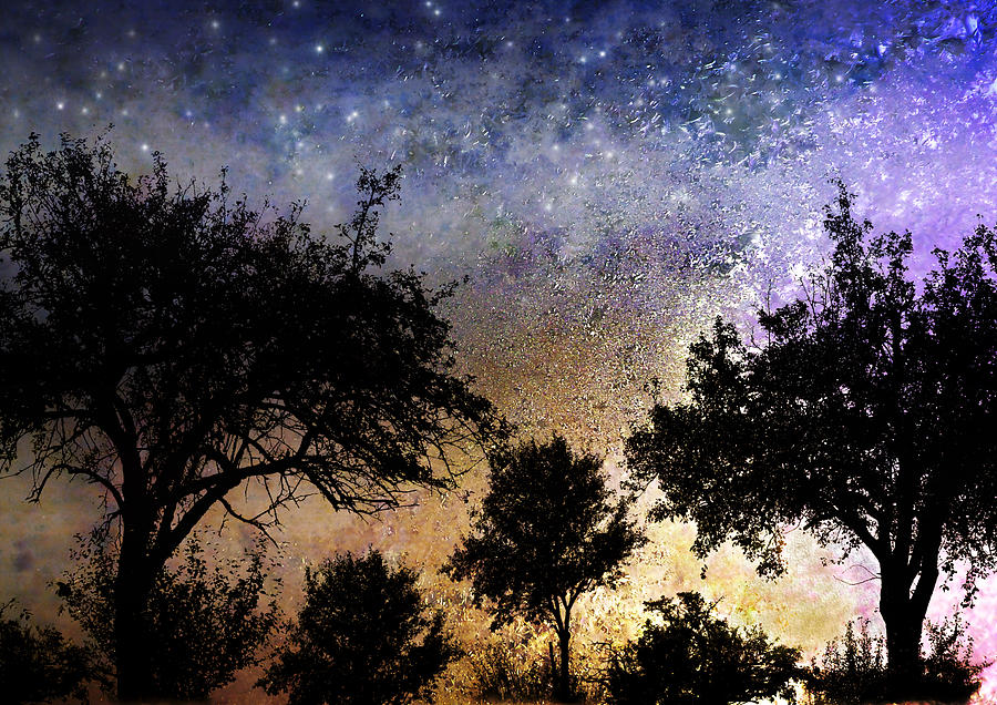 Starry Night  Photograph by Ellen Heaverlo
