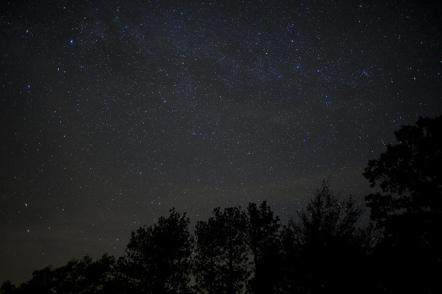 Starry Night Photograph by Sara Hudock
