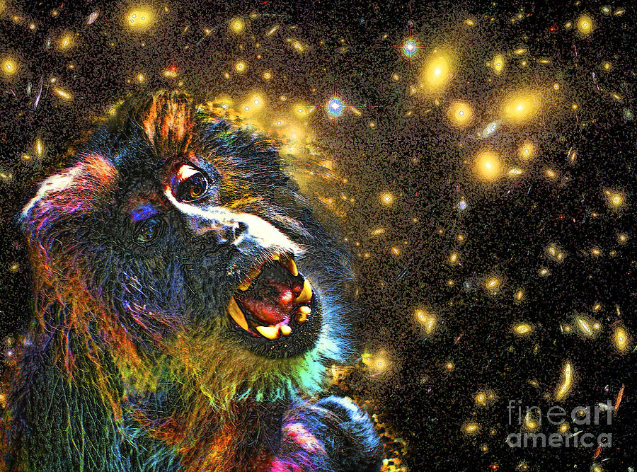 Starry Starry Funky Monkey Photograph by Scott Evers