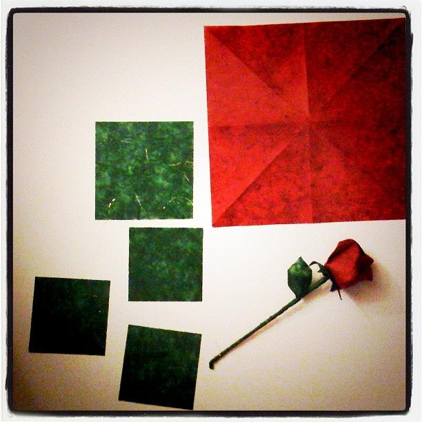 Rose Photograph - Starting A Long Stem #origami #red #rose by Cindy Ho