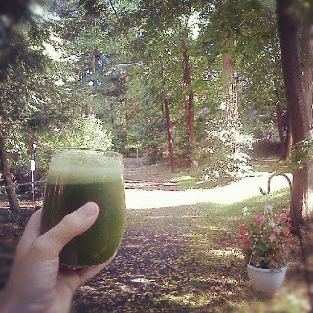 Starting Off The Day Right. Cheers Photograph by Amanda Schoonover