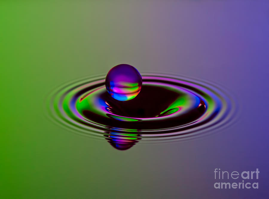Water Drop Photograph - Staying Afloat by Susan Candelario