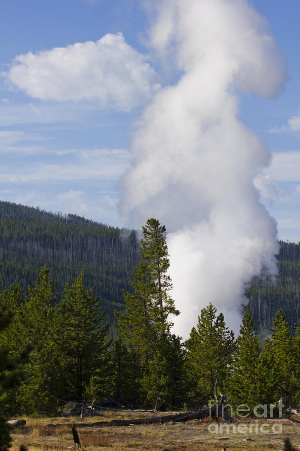 Steam From Geyser Yellowstone Park Photograph by Dustin K Ryan