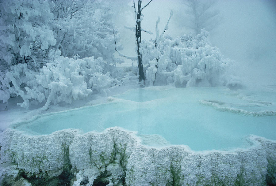 Steaming Pool At Mammoth Hot Springs Photograph by Michael Quinton
