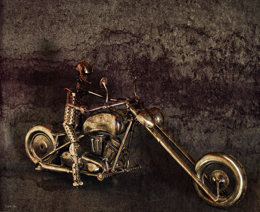 Steel Horse Photograph by Peter Chilelli