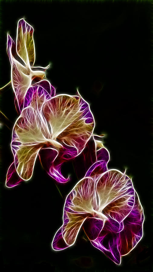 Orchid Photograph - Steeped Orchid Jive by Bill and Linda Tiepelman