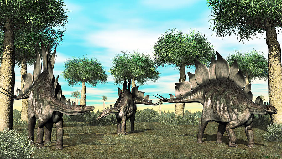Stegosaurus Digital Art by Walter Colvin