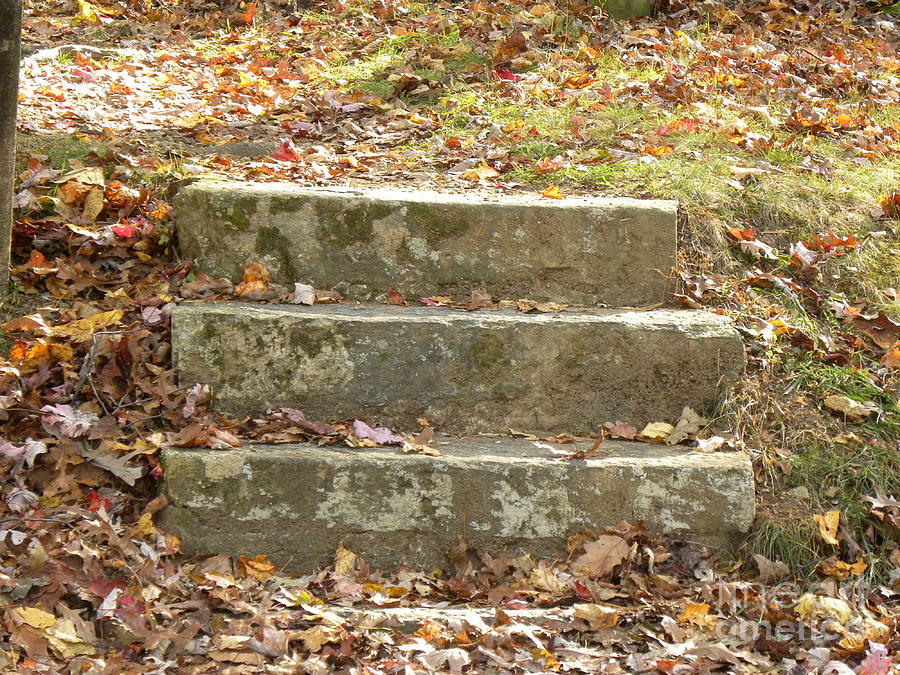 Step Into Fall Step into Fall Photograph by Janet Dickinson - Fine Art America