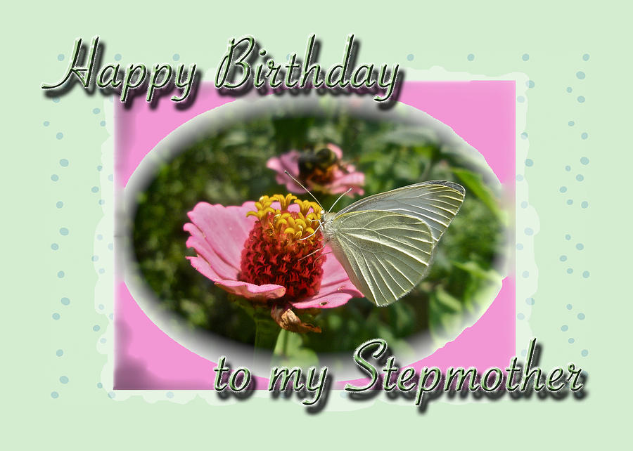 Butterfly Photograph - Stepmother Birthday Greeting Card - Butterfly on Flower by Carol Senske