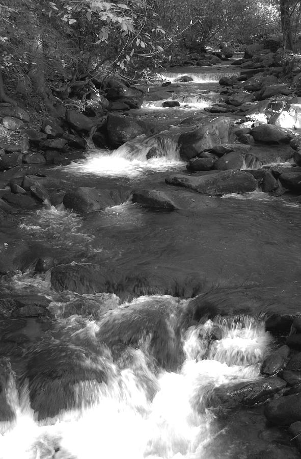Stepping Stones of the Mountains B-W Photograph by DigiArt Diaries by Vicky B Fuller