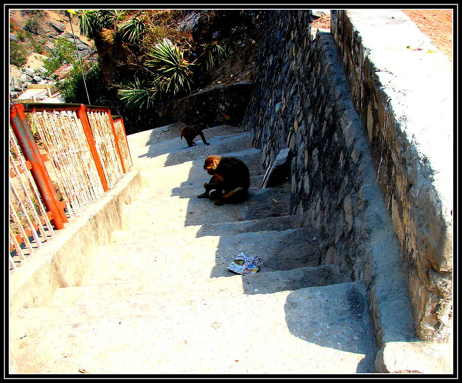 Steps And Shadows Photograph by Anand Swaroop Manchiraju