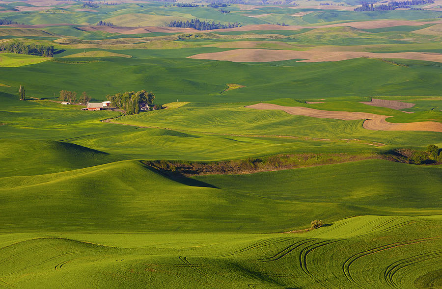 Steptoe Butte Stands Tall Photograph by Douglas Orton - Fine Art America