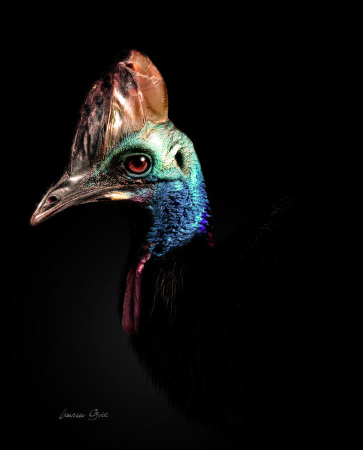Emu Digital Art - Stern by Lauren Goia