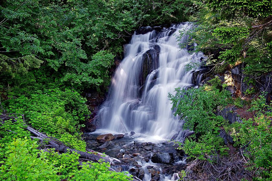 Waterfall Photograph - Stevens Creek by Joseph Urbaszewski