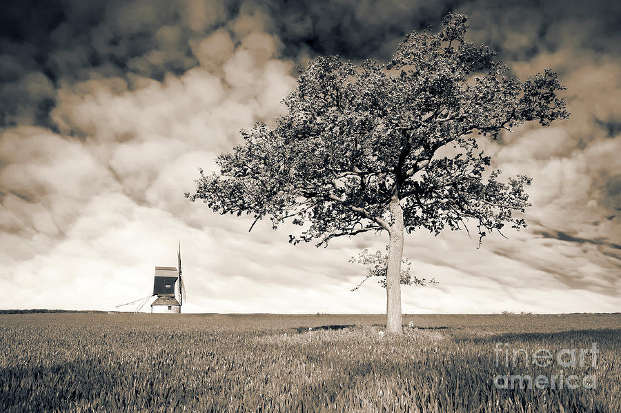 Nature Photograph - Stevington Windmill by Radoslav Toth