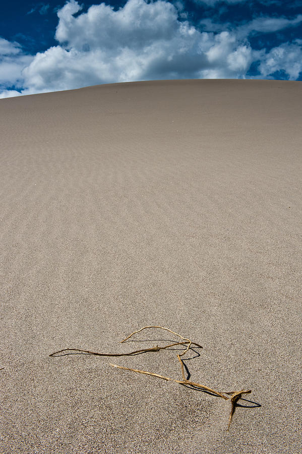 A stick in the Great sand dunes  Photograph by Greg Wyatt