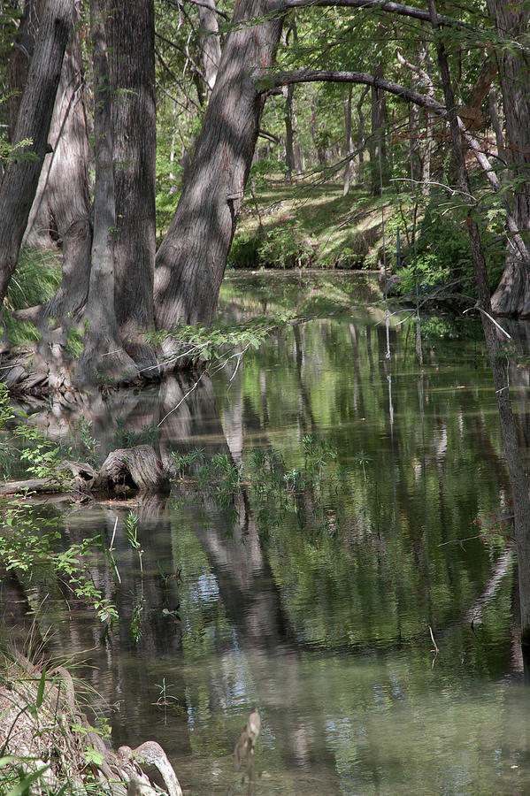 Still Creek Reflections Photograph by James Woody