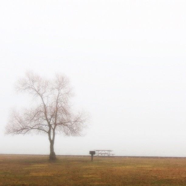 Still Foggy! Photograph by Becky Avery
