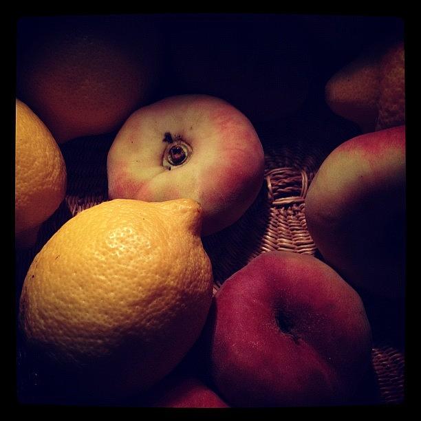 Still Life From The Farmers Mkt Photograph by Gracie Noodlestein