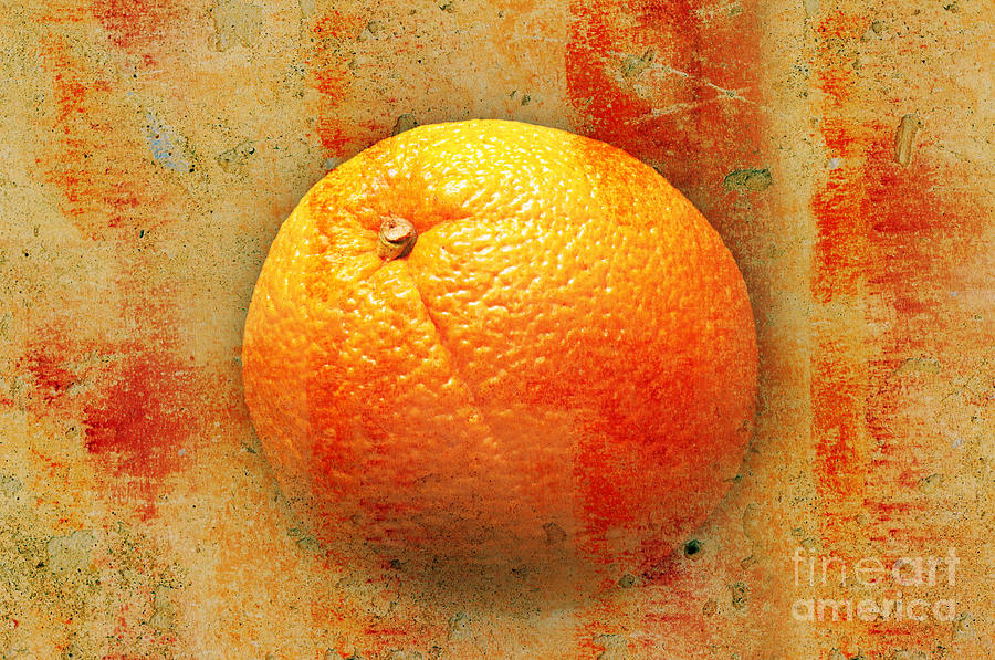 Abstract Photograph - Still Life Orange Abstract by Andee Design